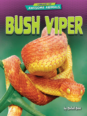 cover image of Bush Viper